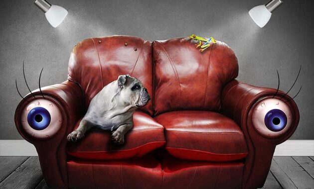 sofa couch surreal eyes dog art artificial dream perception