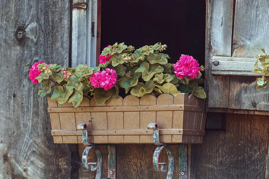 flower box floral decorations window log cabin geranium woodhouse balcony plants planters decoration