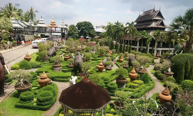 garden flora flower tree travel nature palm outdoors summer