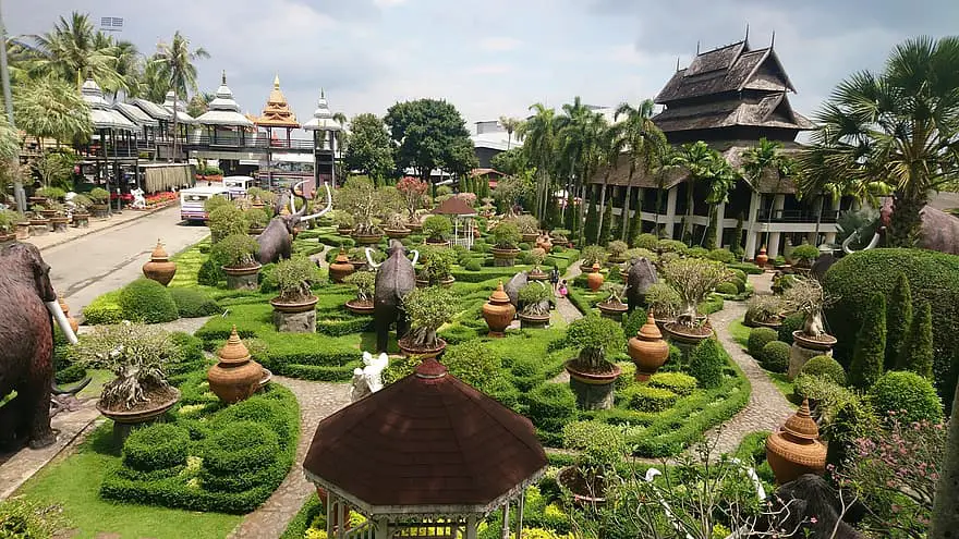 garden flora flower tree travel nature palm outdoors summer