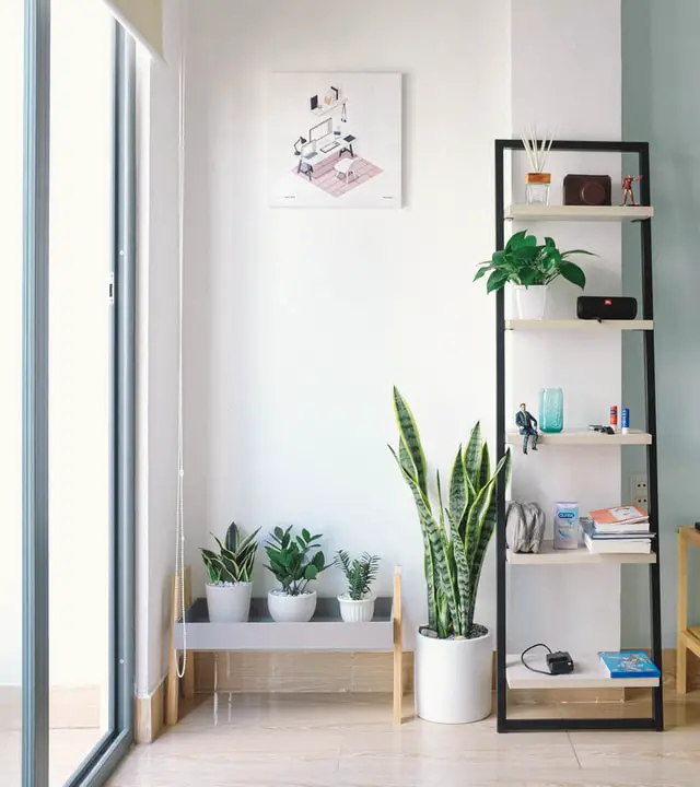 indoor garden ideas