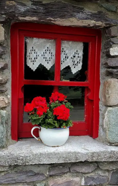 old irish cottage window planter pot flower decoration geranium