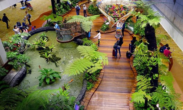 singapore changi airport tourists terminal travelling departure hall indoor flight greenery