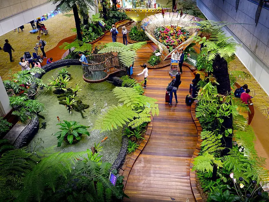 singapore changi airport tourists terminal travelling departure hall indoor flight greenery