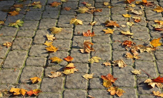 walkway pavers pavement foliage autumn surface pattern invoice the stones