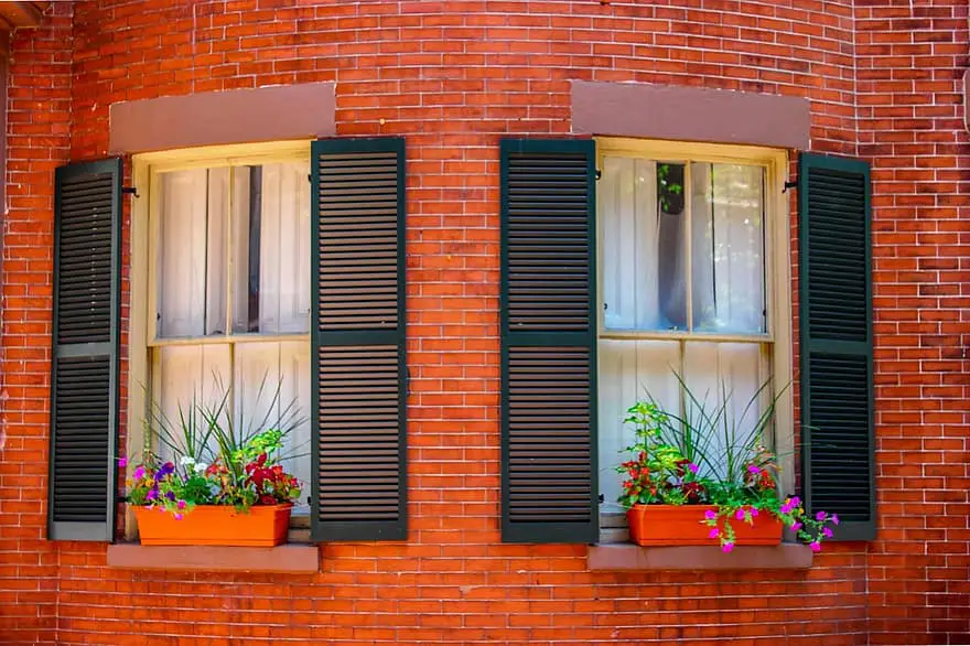 window brick planter flowers green purple reflection apartment wall 1