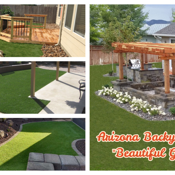 Stunning Arizona Backyard Ideas to Add Enjoyment in Your Outside Space