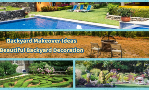 Backyard Makeover Ideas