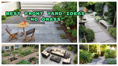 Front Yard Ideas No Grass