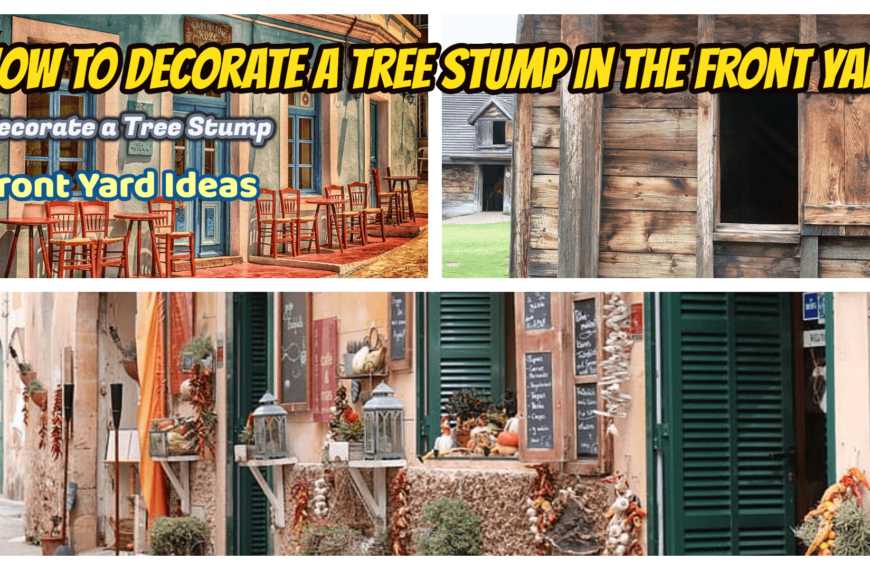 How to Decorate a Tree Stump in the Front Yard tips