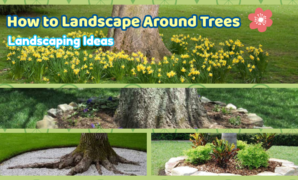 How to Landscape Around Trees