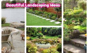Landscaping Ideas With Pavers Design