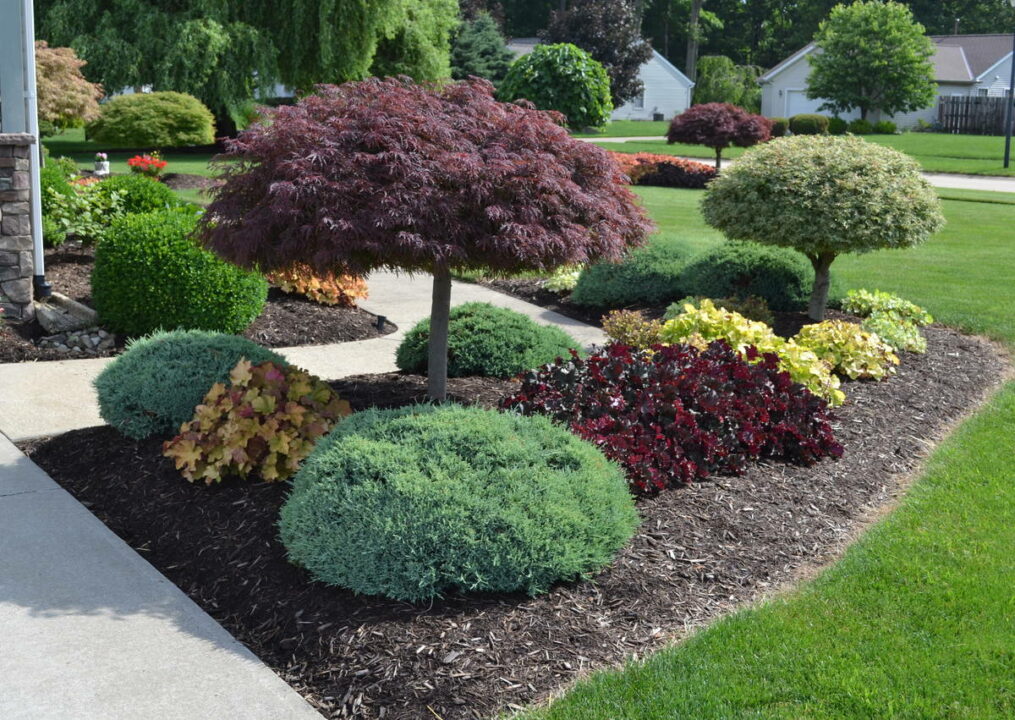 Minimalist Landscaping Ideas for Backyard or Front Yard