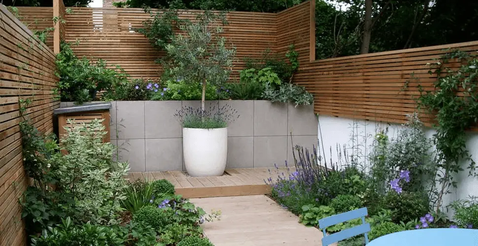 Minimalist garden design with plants