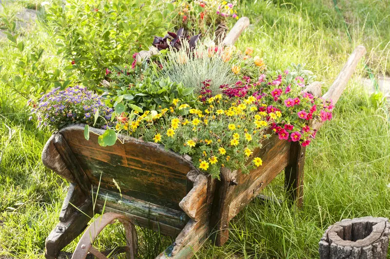 Outdoor planter ideas