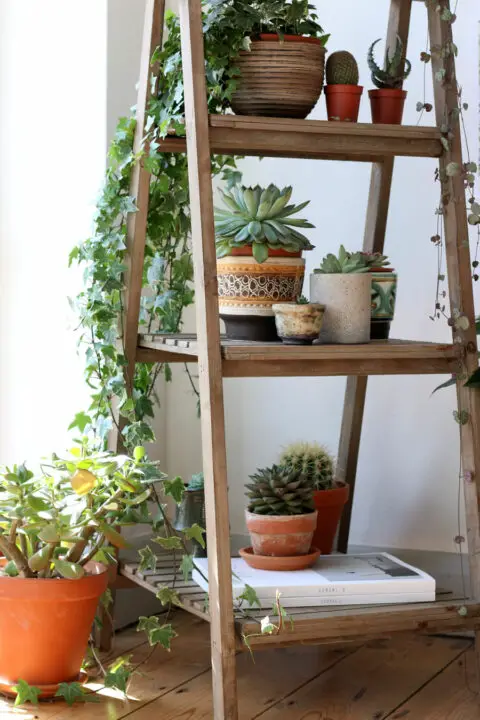 Rustic Decorative Ladder