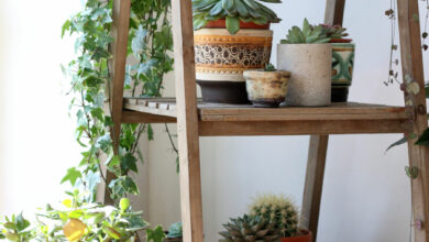 Rustic Decorative Ladder