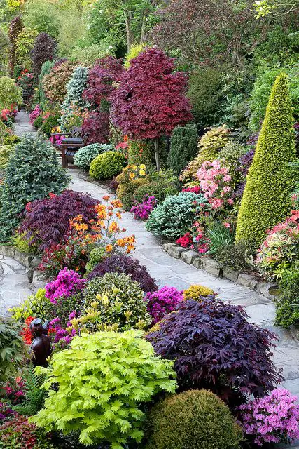 bautiful inspiration for garden flowering