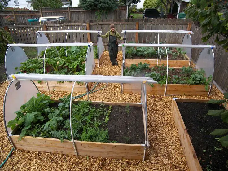 beautiful raised planters