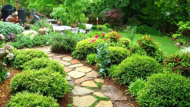 best shrubs for garden pathway