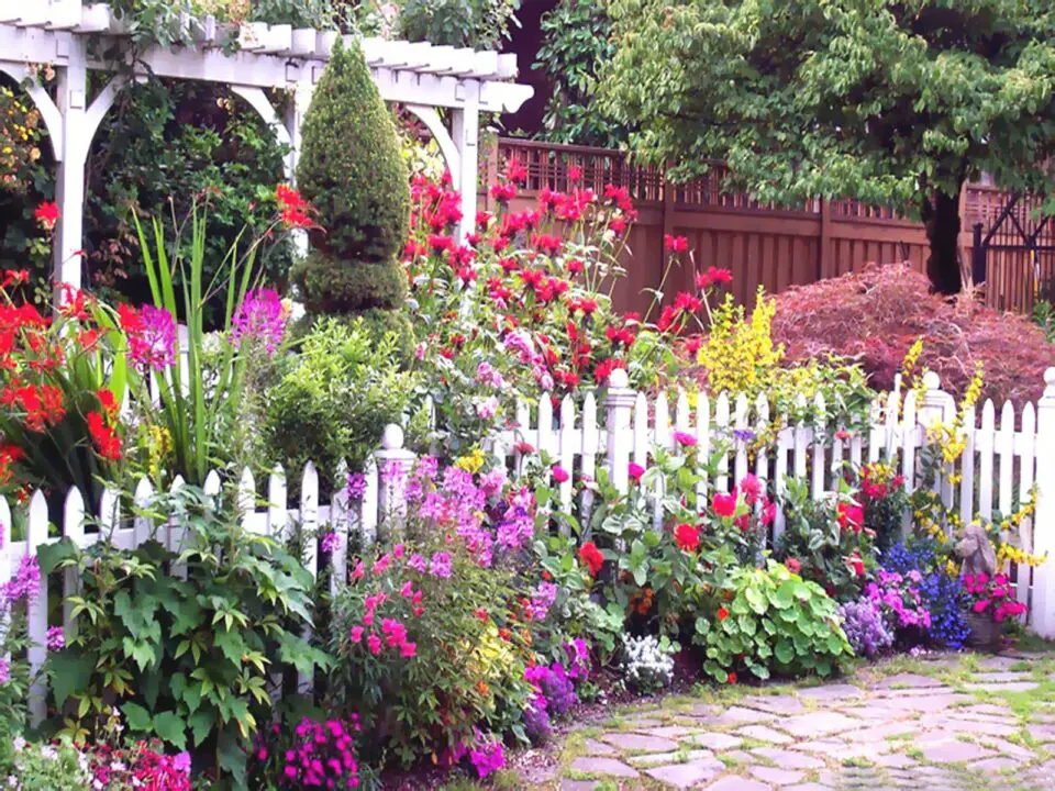 cottage garden ideas - garden flowering