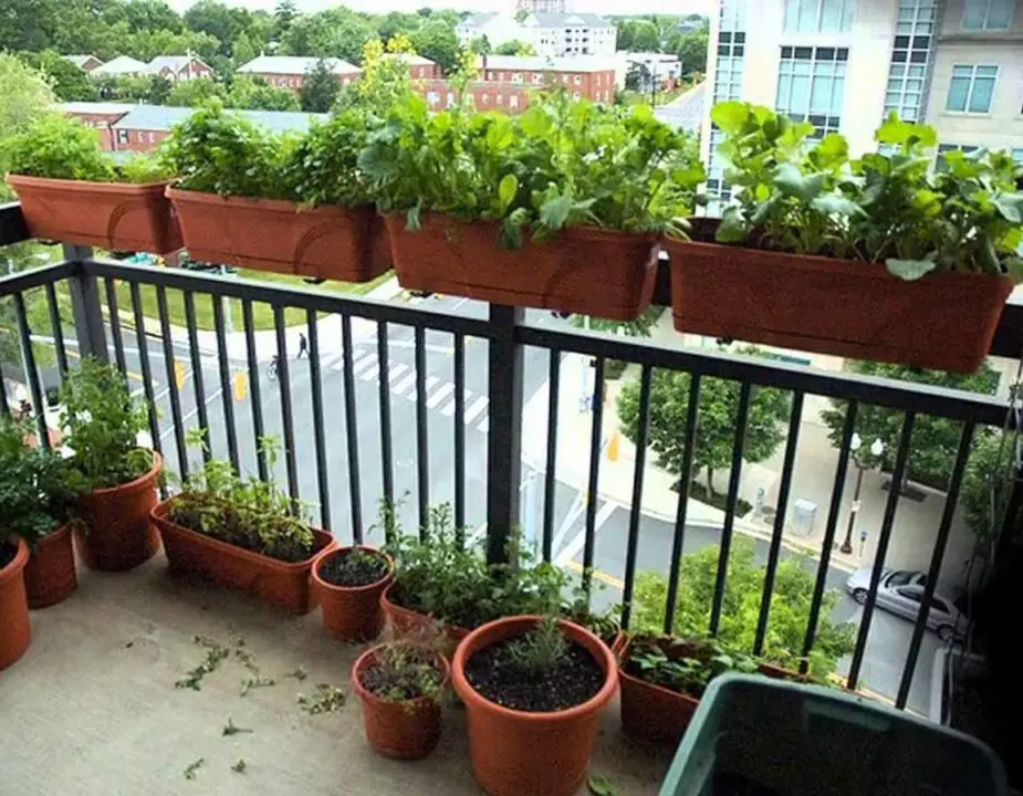 garden ideas for small apartment