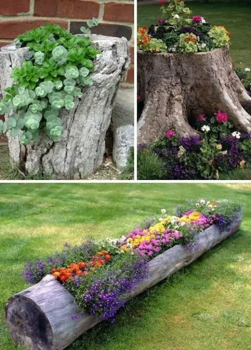 inspirational planter ideas