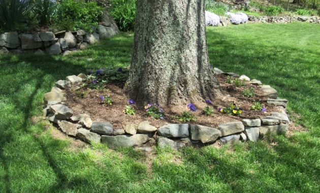landscaping around tree with rock decoration