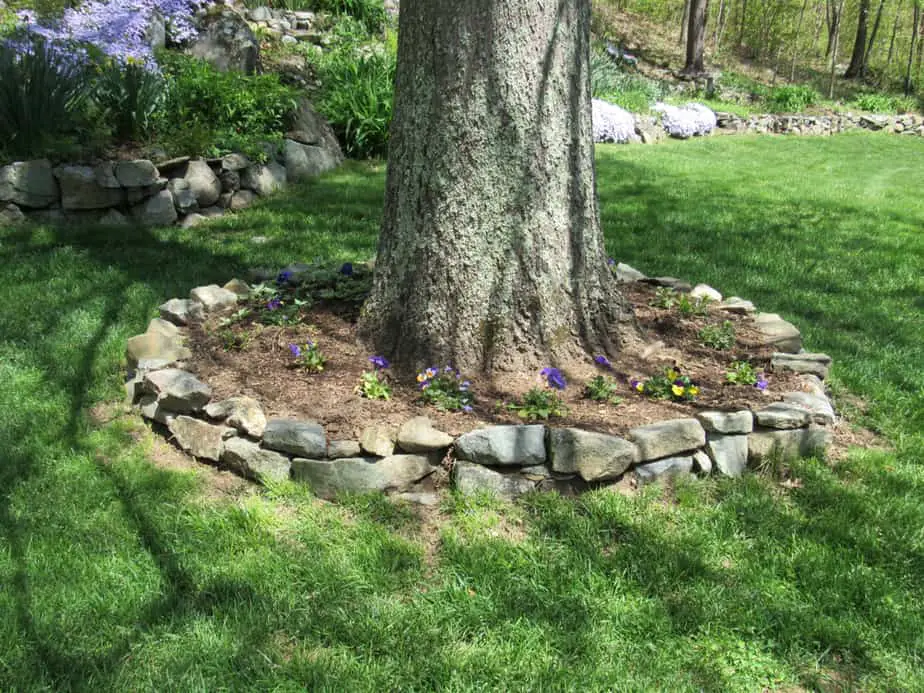 landscaping around tree with rock decoration