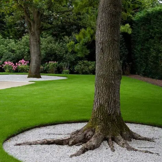 minimalist landscape around tree ideas