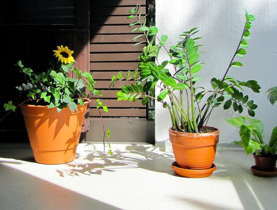 patio garden ideas apartment