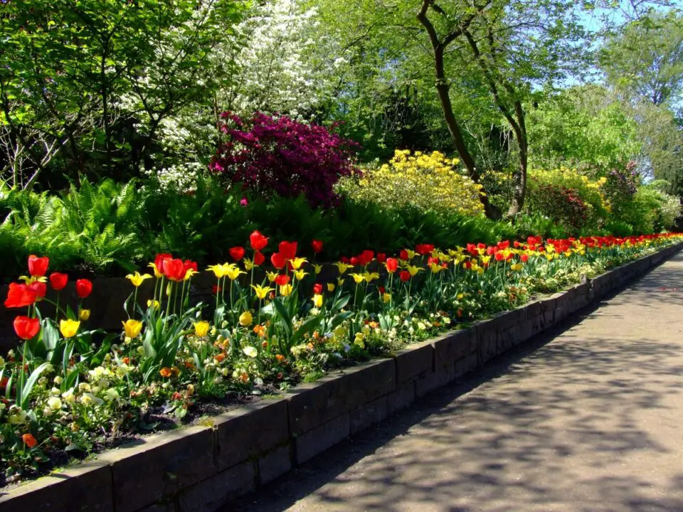 backyard garden lover with flower design