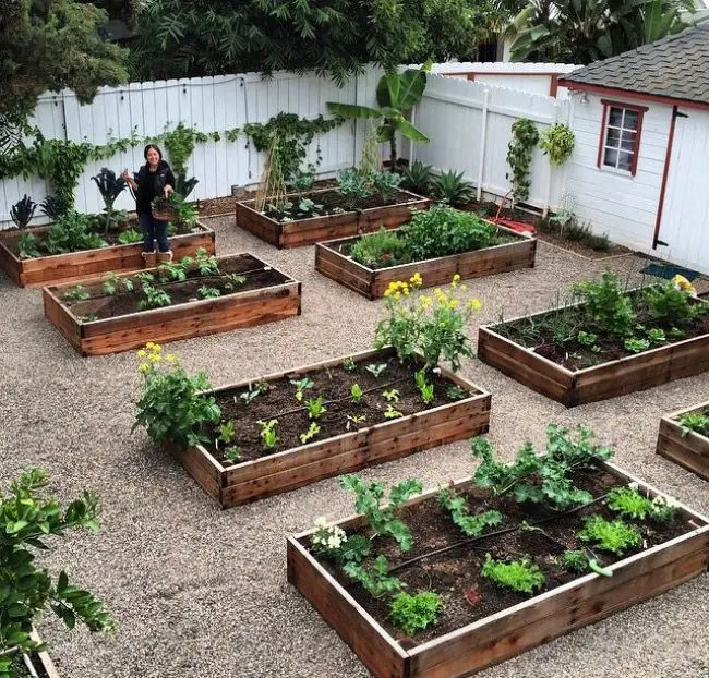 raised planters for beautiful garden