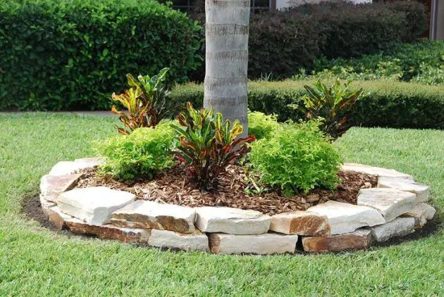 stone cover for landscape around tree