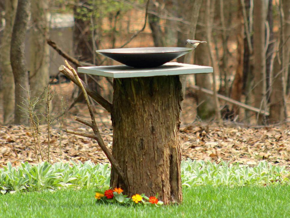 tree stump for stunning bird bath garden design ideas
