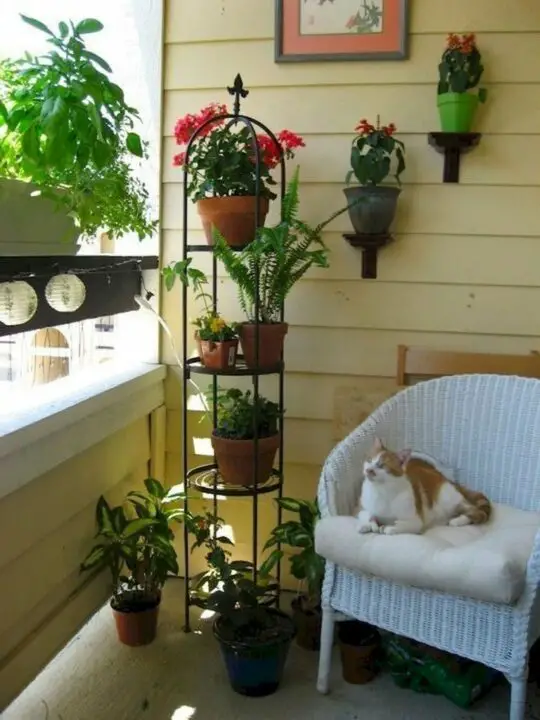 tiny balcony garden