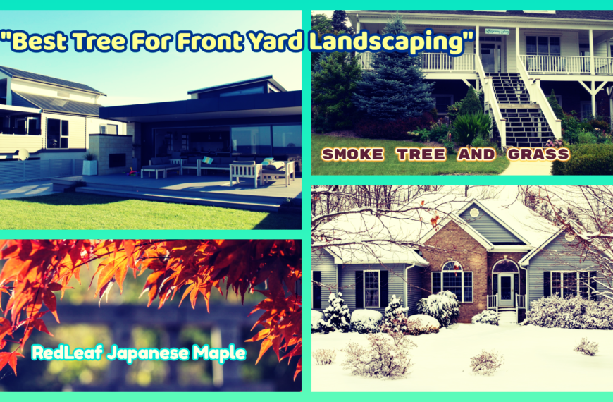 95 Best Trees for Front Yard Landscaping Ideas – Home & Garden