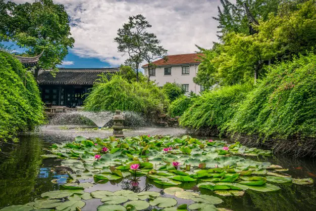 Japan garden with big pool and lotus