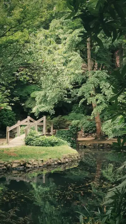 Japanese garden ideas beautiful scenery