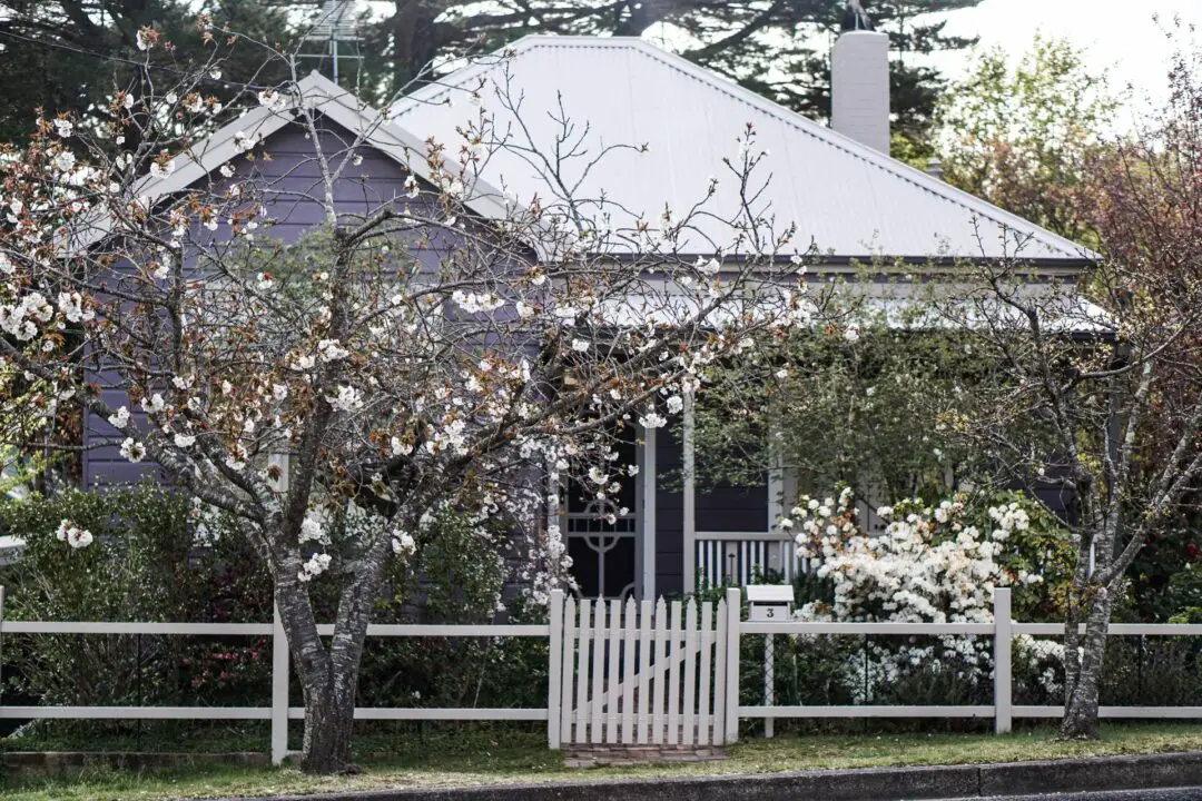 front yard landscaping ideas georgia