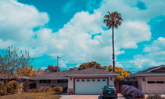 front yard landscaping with trees