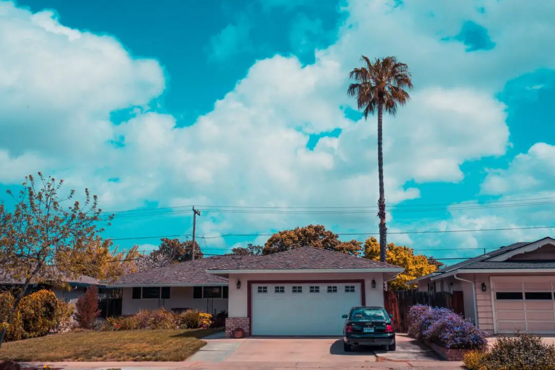 front yard landscaping with trees