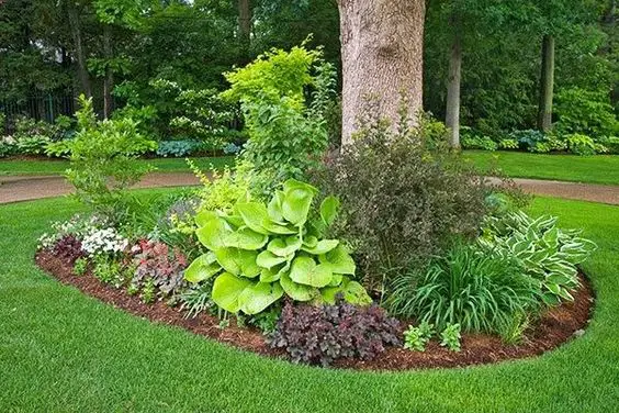 beautiful landscaping ideas around trees