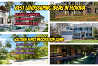 landscaping ideas in florida