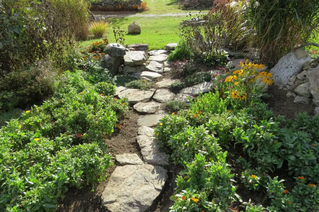 landscaping ideas texas