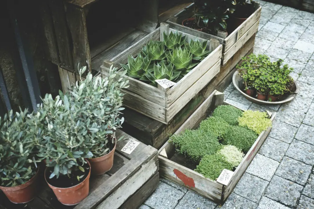 beautiful fence design with small pots decorations