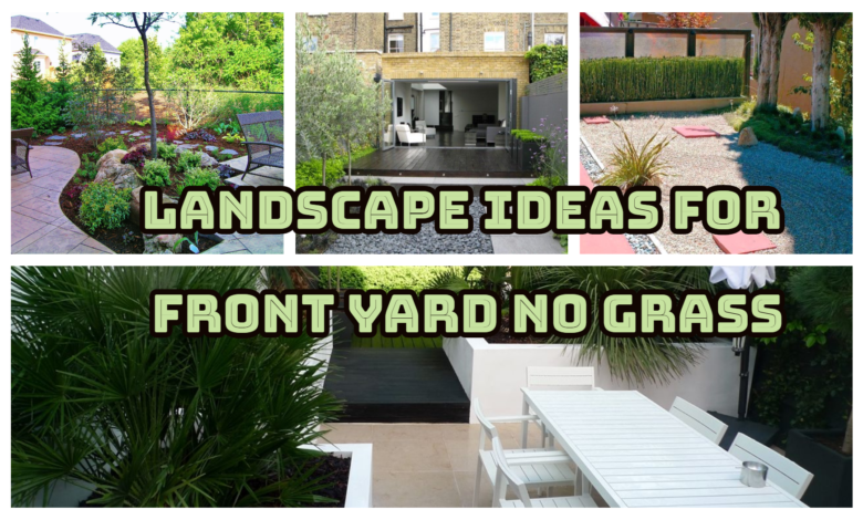 27 Cheap & Low Maintenance Front Yard With No Grass Ideas - Inspira ...