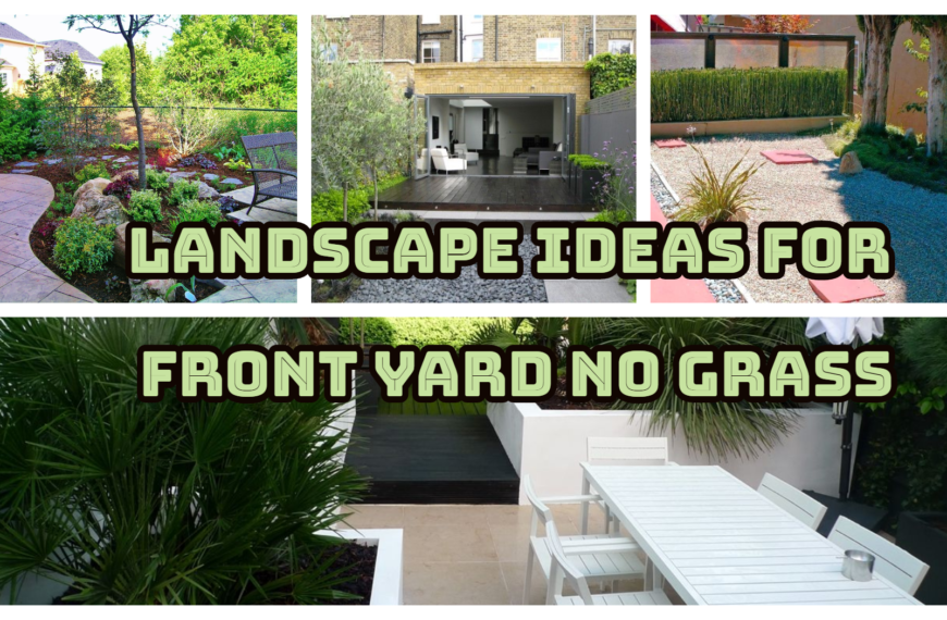 27 Cheap & Low Maintenance Front Yard With No Grass Ideas