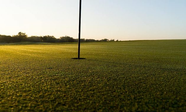 golf golf course golfing green grass field golfers nature landscape