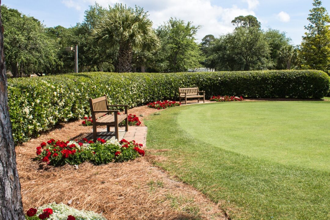 landscape nature grass sport lawn game landscape nature grass sport lawn game